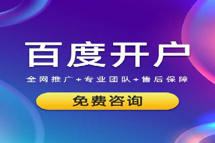 竞价推广公司案例：实战技巧与策略